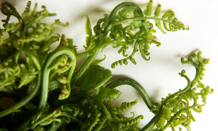 Mengenal Blue Matcha, Minuman Kekinian Bebas Kafein yang Menenangkan