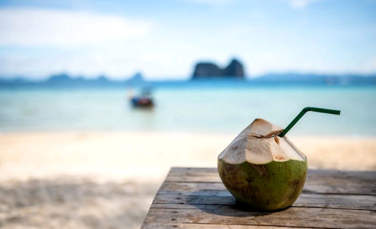 Efek Minum Air Kelapa Saat Berbuka Puasa, Apa Kata Dokter?