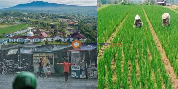 Dampak Perubahan Iklim Terhadap Lingkungan dan Kehidupan di Kabupaten Kepahiang