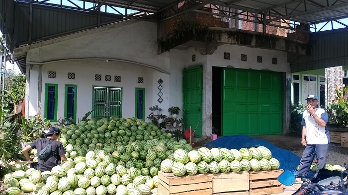 Banting Stir! Sayur Murah, Beralih Jualan Semangka