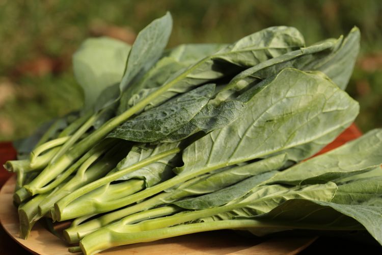 10 Sayur yang Belum Banyak Diketahui Kandungan Baiknya!