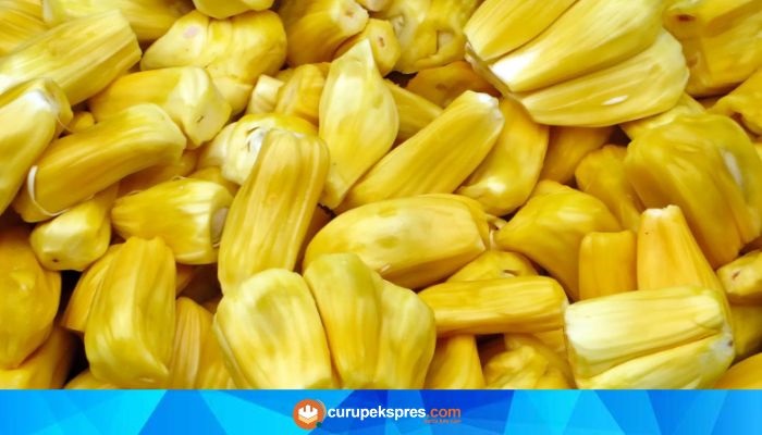 Kaya Nutrisi dan Berkhasiat untuk Kesehatan, Kenali Manfaat Buah Nangka yang Mengagumkan