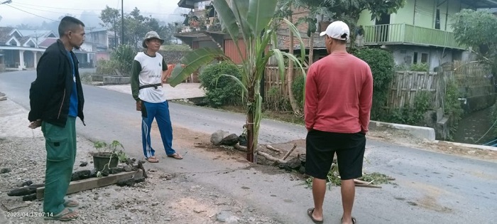Belum Lama Diperbaiki Jalan Kembali Rusak, Warga Desa Tik Kuto Kesal dan Tanam Pisang di Tengah Jalan