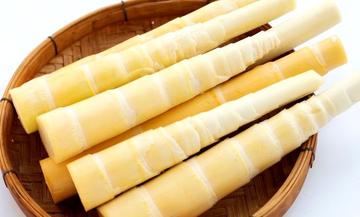  Manfaat Rebung yang Sayang Dilewatkan untuk Menjaga Kesehatan