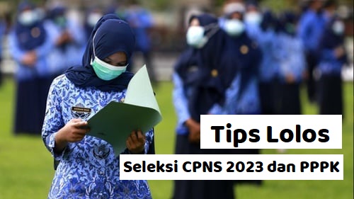 Tips Lolos Seleksi CPNS 2023 dan PPPK