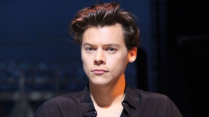 Lirik lagu Lengkap 'As it Was' Harry Styles dan Terjemahannya