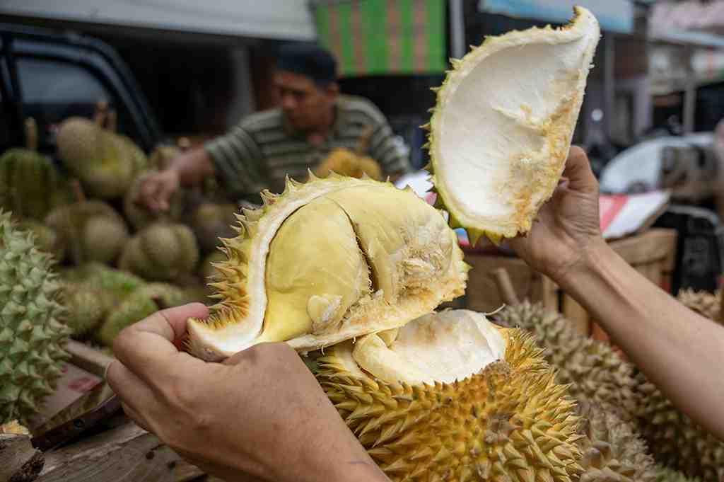 Kenapa Durian yang Kamu Beli Nggak Enak? Ini Penyebab dan Solusinya!