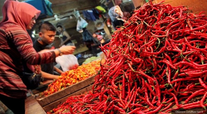 Petani Menangis Harga Cabai Anjlok hingga Rp 8 Ribu/Kg, Ini Penyebabnya!