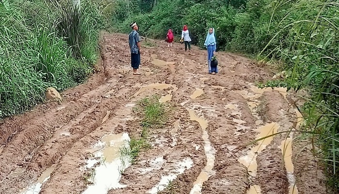 WADUH! Gagal Dapat Perbaikan, Kondisi Jalan Langgar Jaya jadi Sorotan