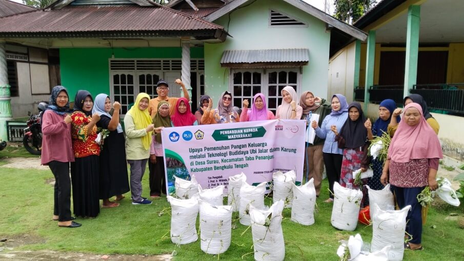 Dosen dan Mahasiswa Magister Agroekoteknologi Unib Bikin Percontohan Ubi Jalar Dalam Karung