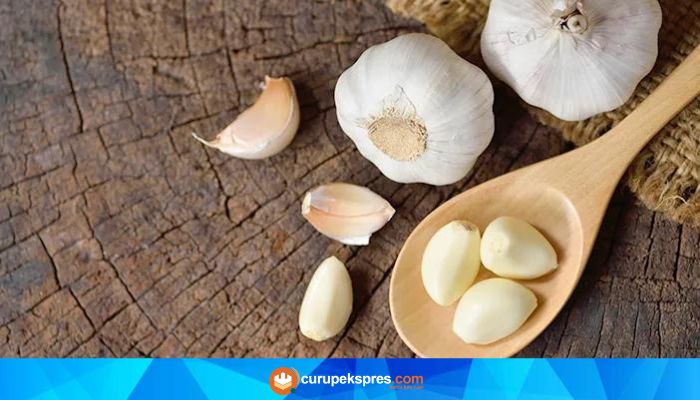 Tidak Banyak diketahui, Mengkonsumsi Bawang Putih Mentah Banyak Manfaatnya Loh..