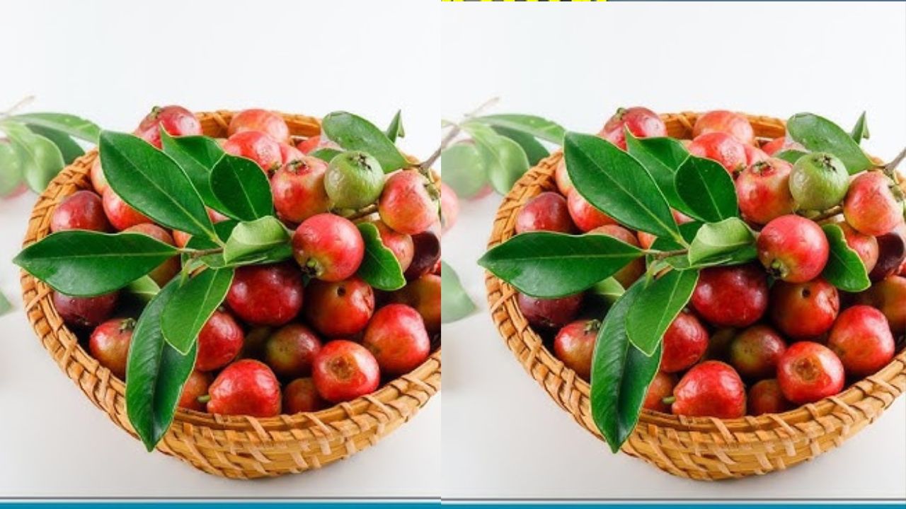 Catat! Ini Manfaat Buah Matoa untuk Kesehatan Kulit Wajah