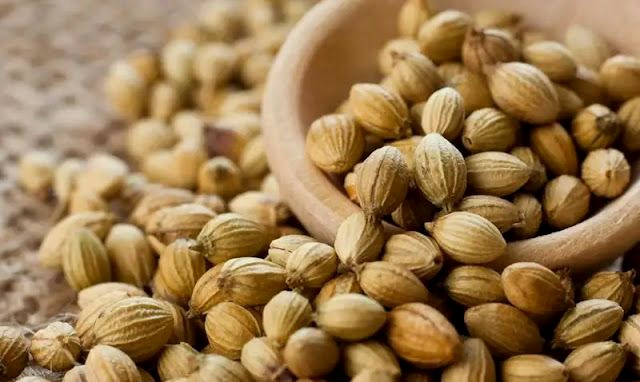 Sering Dipakai di Dapur, Ternyata Kapulaga Punya Khasiat Luar Biasa