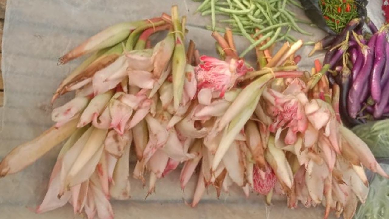 Catat! Ini 3 Manfaat Kecombrang bagi Kesehatan Tubuh Hamil