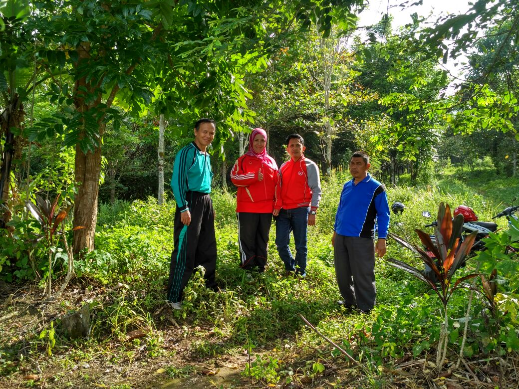 Hutan Kota Berpadu dengan Taman Kota