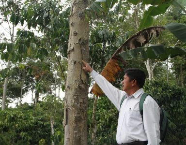 5 Desa Dihantui Beruang, Camat Minta Warga Waspada