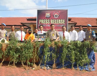 Polres Temukan Ladang Ganja, Hasil Laporan Masyarakat