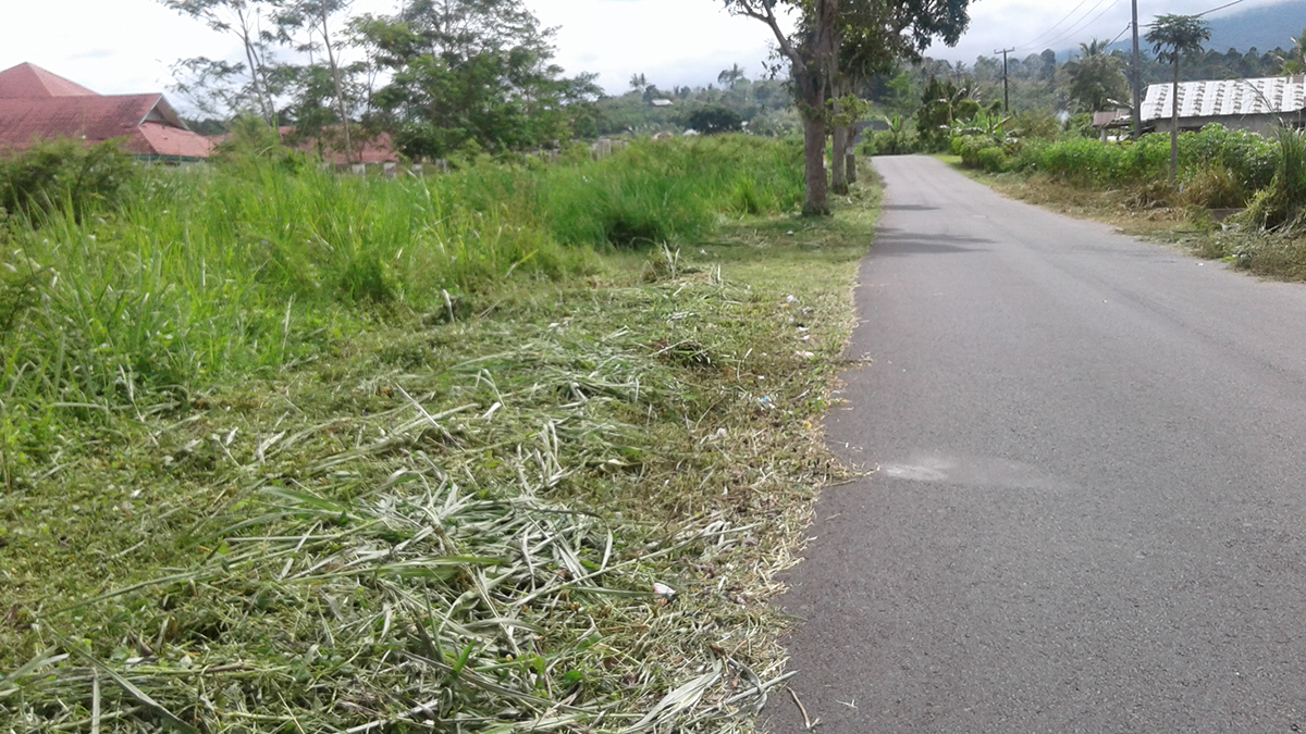 DPMPTSP RL Galau Soal Lampu Jalan untuk RSUD Jalur Dua