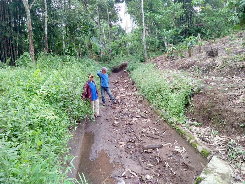 Irigasi Air Belumai Jebol,  100 Ha Sawah dan 30 Kolam Kekeringan