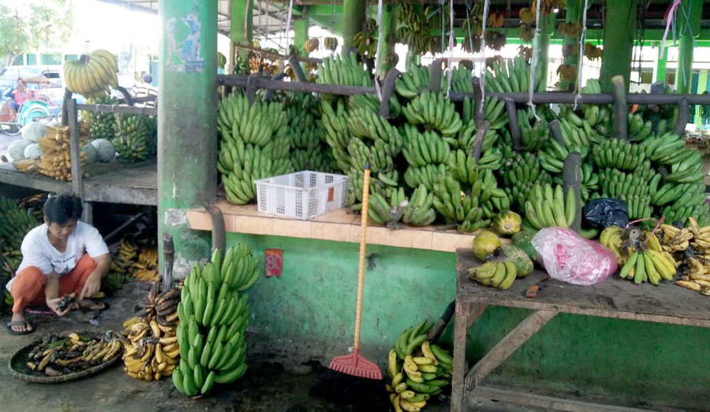 Harga Pisang Curup Stabil