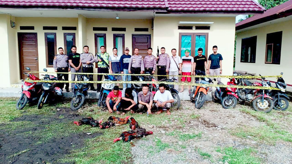 Pelaku Judi Sabung Ayam  Kocar-Kacir, Polisi Amankan Ayam dan Ranmor