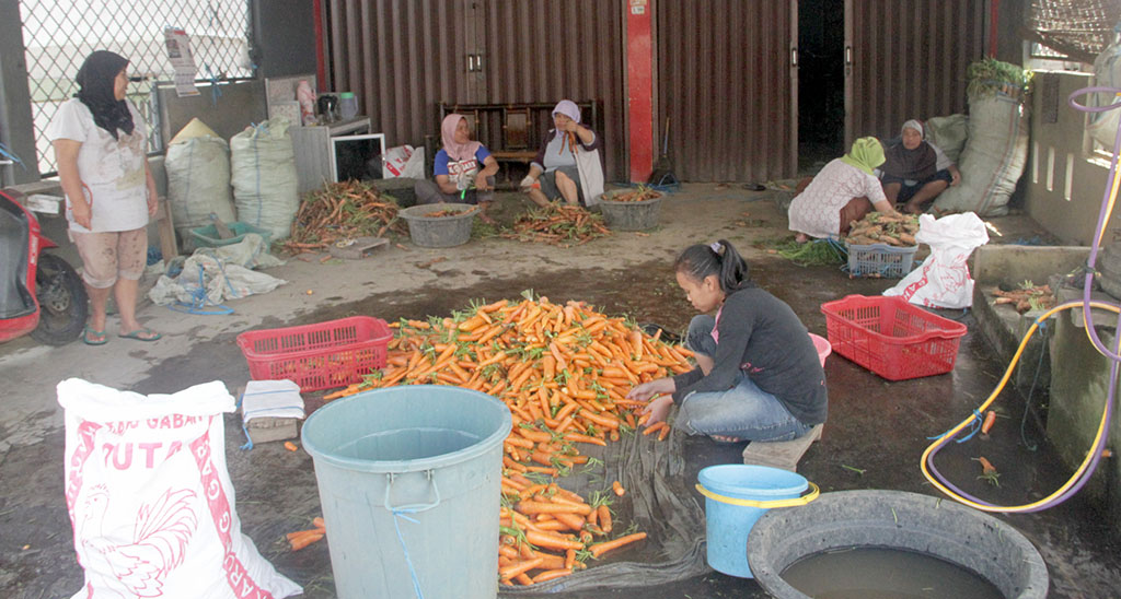 Harga Wartel Turun, Petani Ngeluh