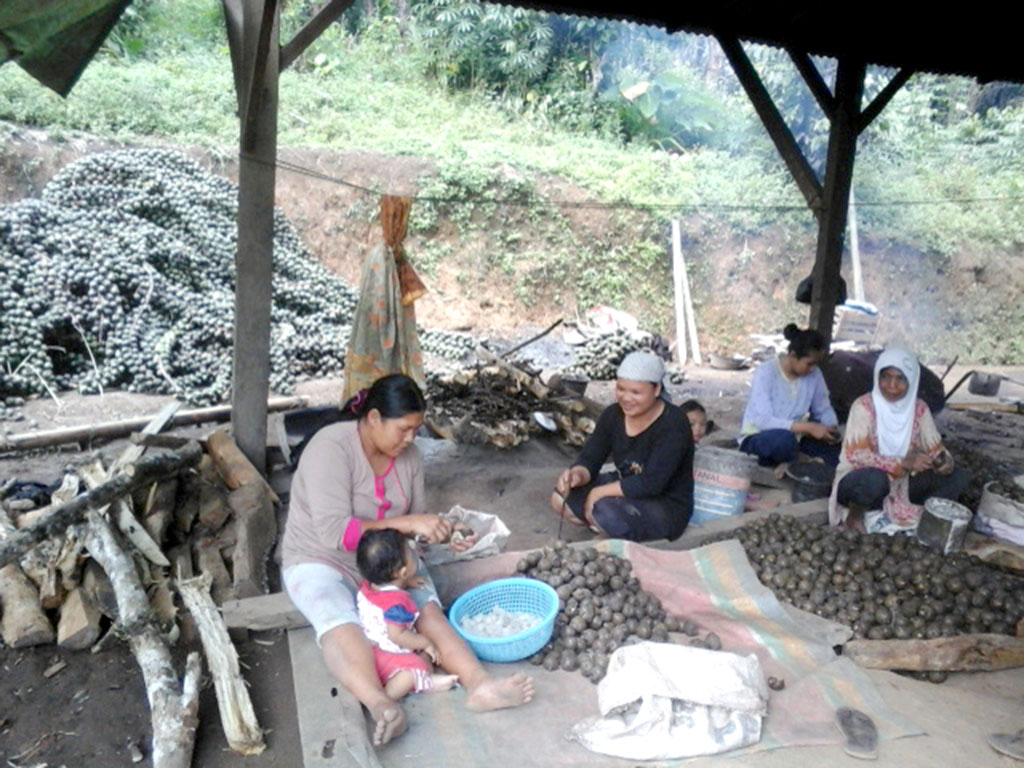 Jelang Ramadhan, Permintaan Kolang Kaling Meningkat