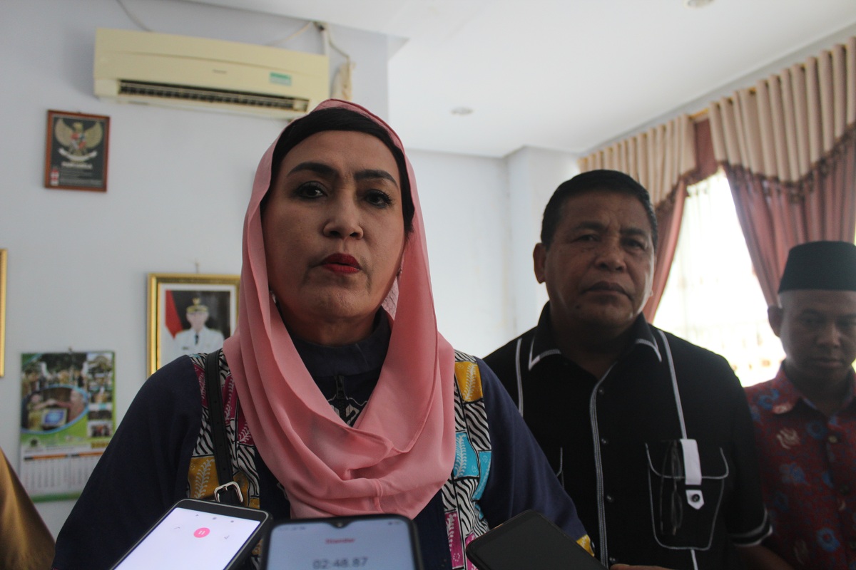 Elva Hartati, Anggota Komisi IX DPR RI Kunjungi RSUD Curup