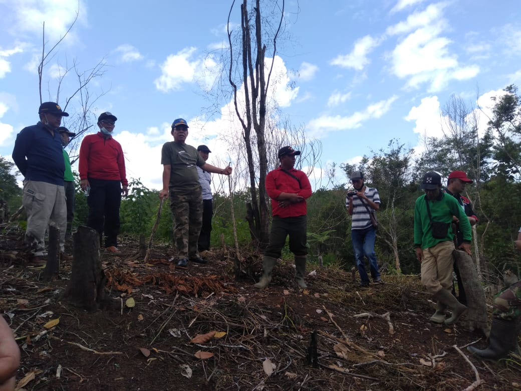 Bupati Hijazi Tinjau Lahan di Desa Tanjung Beringin