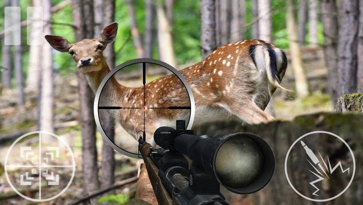 Usai Berburu Rusa, Petani BUR Hilang Misterius