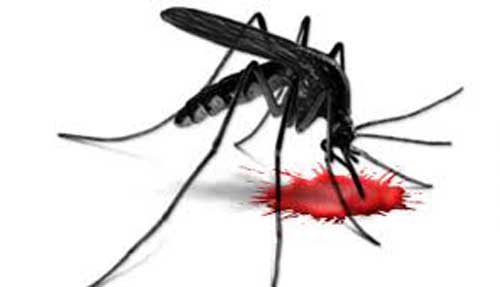 Kasus DBD Vs Covid-19, 1 Berbanding 14,5