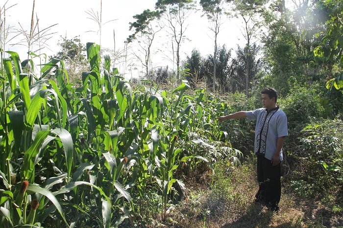 Soal Tanah Makam, Warga Laporkan Kades AMB