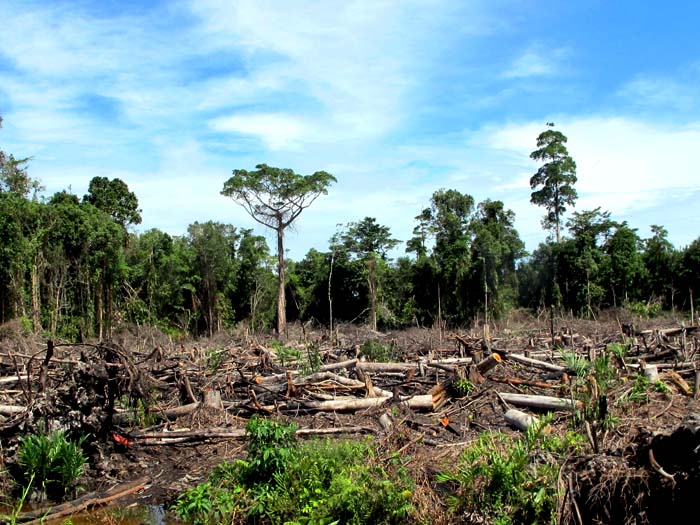 Polsek BU Ancam Perambah Hutan Pasal Berlapis