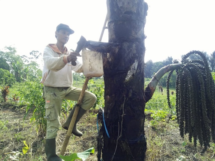 Dukung Pengembangan Usaha Pertanian, Melalui BUMD