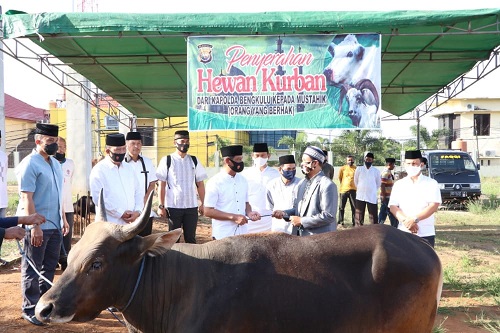 Polda Kurban 17 Sapi dan 5 Kambing