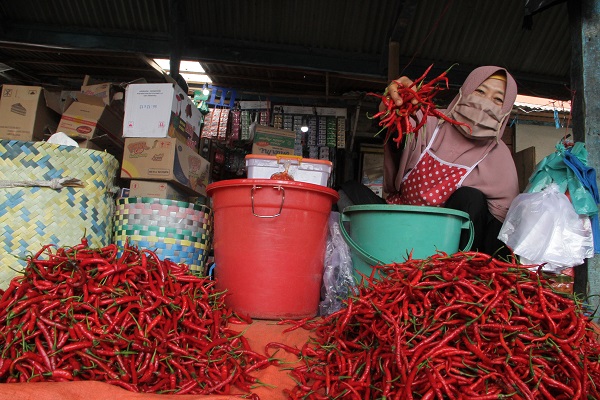 Harga Cabai Merah Naik, Sampai 24 Ribu Per Kg