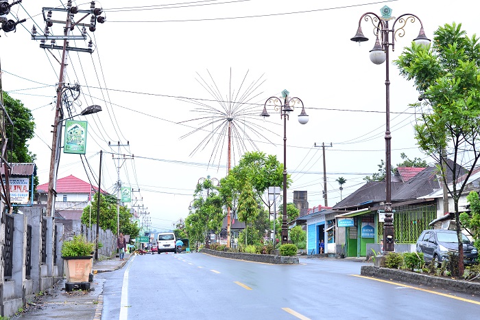 Komisi II Lirik Usulan Lampu Jalan