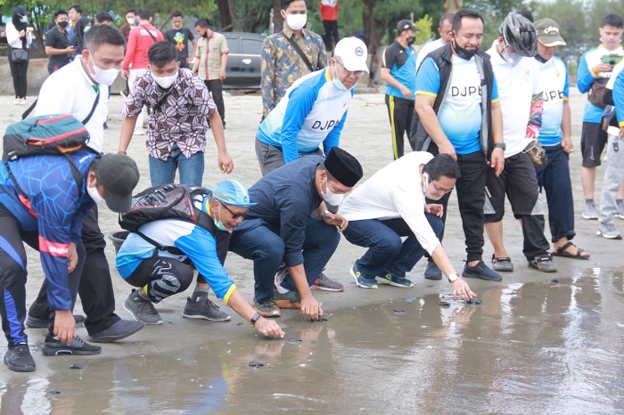 DJPB Lepas Penyu dan Tanam Pohon, Peringati Hari Uang ke-74