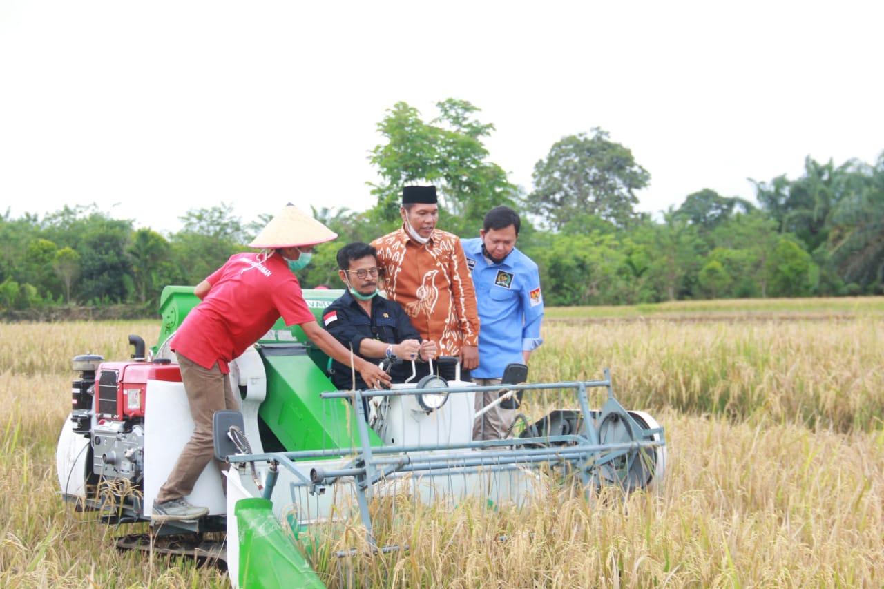 Bengkulu Berpotensi Jadi Lumbung Padi Nasional