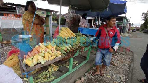 Jelang Nataru Harga Jagung Manis Stabil