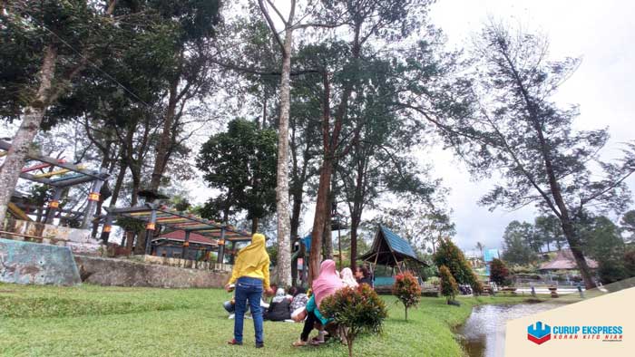 Pengelola Minta DLH Pangkas Pohon Tua di Kawasan DMHB