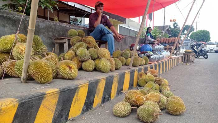 Harga Durian Masih Tinggi