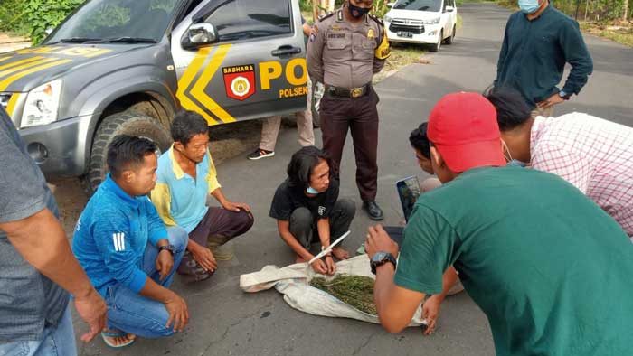 Sergap Bandar Narkoba, KBO Narkoba Korban Tabrak Lari