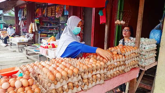 Harga Telur Ayam Turun