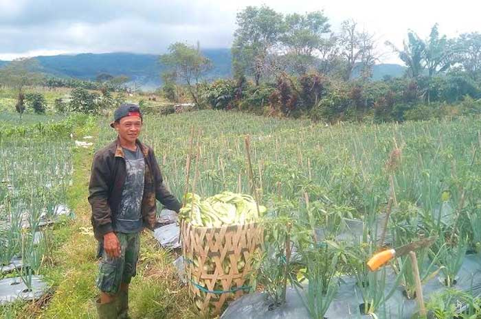 Petani Butuh Perhatian Pemda