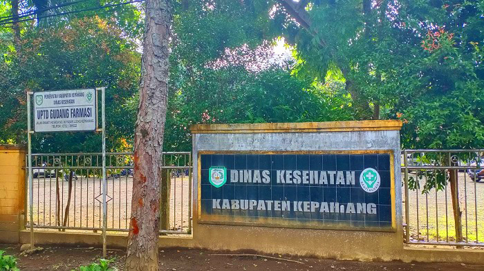 Kantor Dinkes Pasar Ujung Berdiri di Lahan TWA