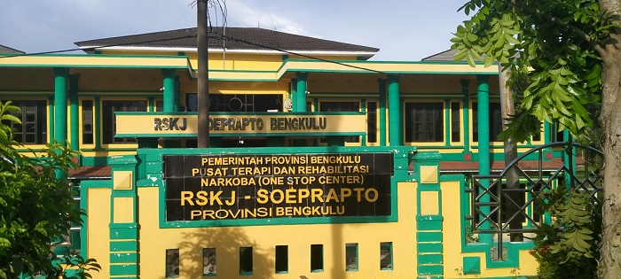 Komisi IX Perjuangkan Peralihan RSKJ ke Pusat