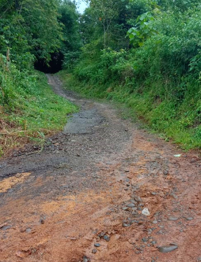 Sejak Tahun 1996, Jalan Tak Kunjung Dibangun