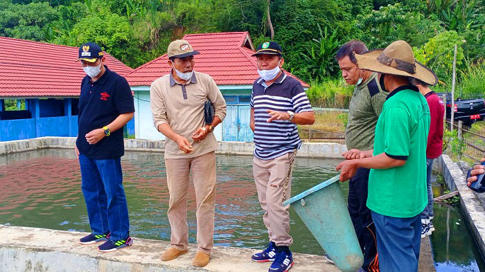 Kembalikan Kepahiang Jadi Sentra Perikanan, DPKP Jalin Kemitraan dengan Petani Ikan