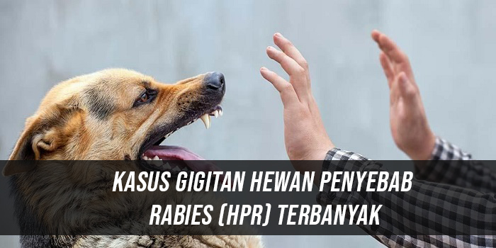 Kasus Gigitan Hewan Penyebab Rabies (HPR) Terbanyak